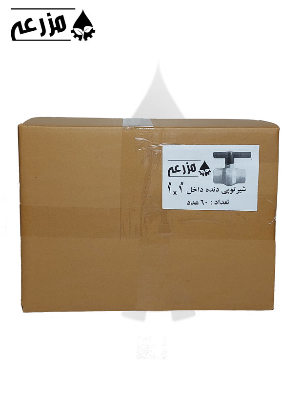 شیر توپی پلیمری دو سر دنده داخل مزرعه (دسته پلیمری) 1 * 1